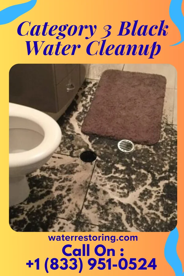 Category 3 Black Water Cleanup in Canadohta Lake, PA