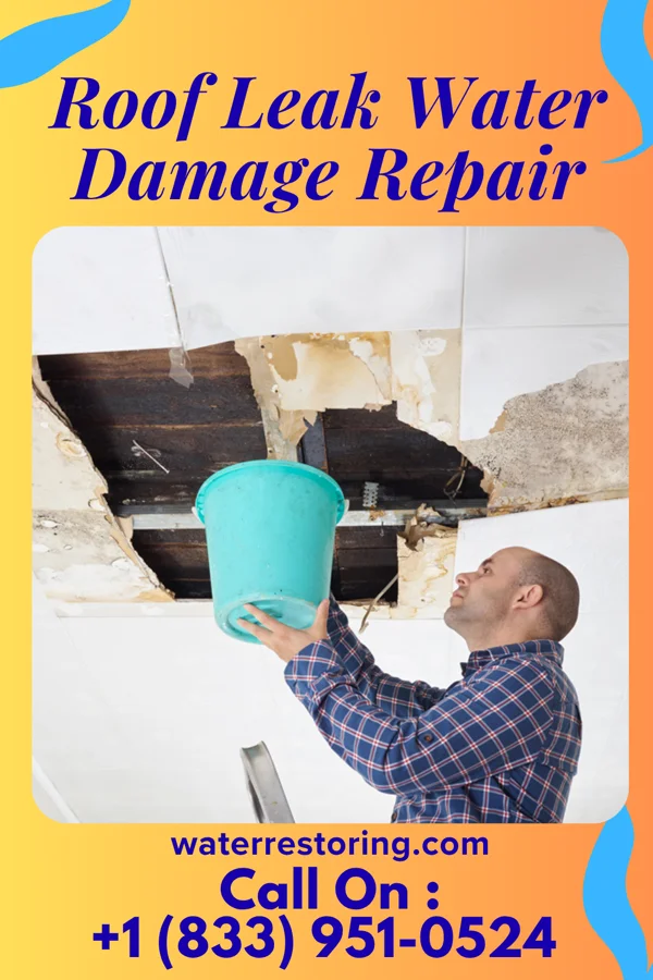 Roof Leak Water Damage Repair in Canadohta Lake, PA