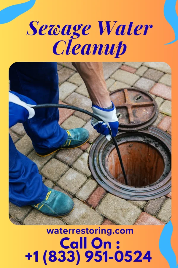 Sewage Water Cleanup in Canadohta Lake, PA